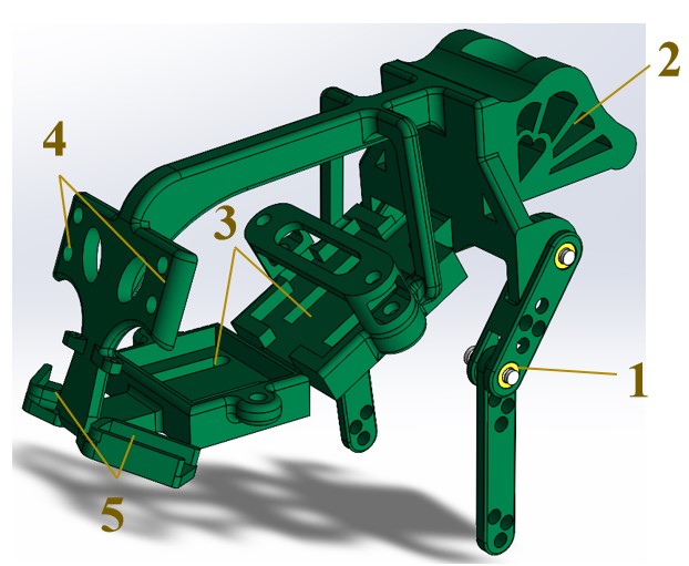 Components of Torso and Forelimbs