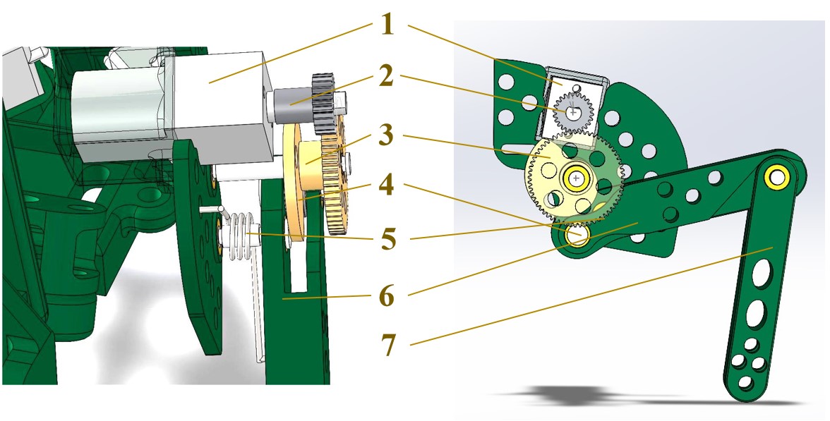 Components of Energy Storage and Hind Limbs